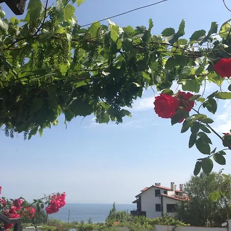 Хотел афродита