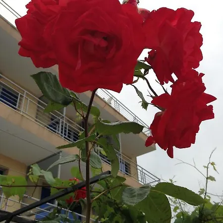 афродита Хотел